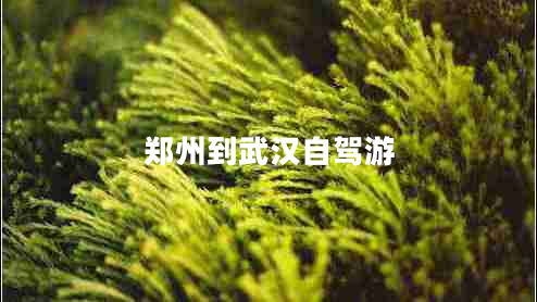 鄭州到武漢自駕游