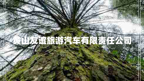 黃山友誼旅游汽車有限責(zé)任公司