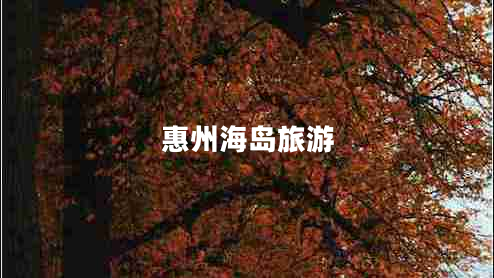 惠州海島旅游