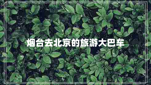 煙臺(tái)去北京的旅游大巴車