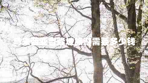 馬來西亞吉隆坡旅游需要多少錢 馬來西亞吉隆坡旅游需要多少錢