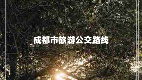 成都市旅游公交路線
