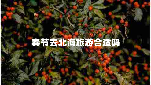 春節(jié)去北海旅游合適嗎