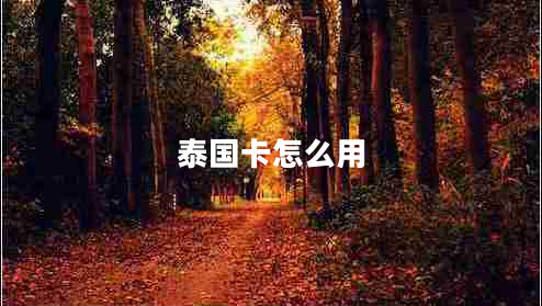 泰國(guó)卡怎么用