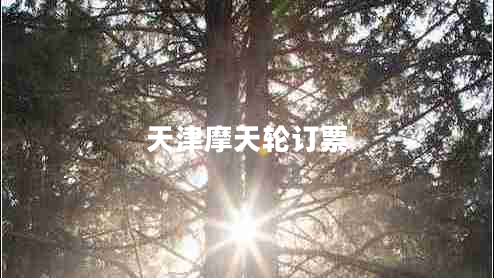 天津摩天輪訂票