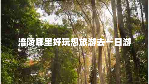 涪陵哪里好玩想旅游去一日游