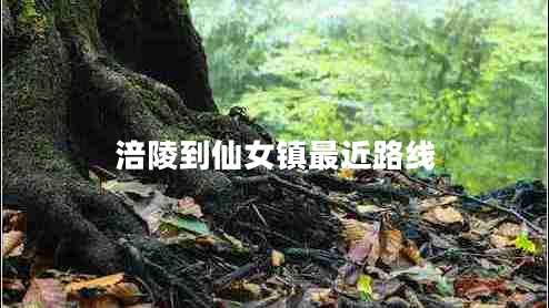 涪陵到仙女鎮(zhèn)最近路線