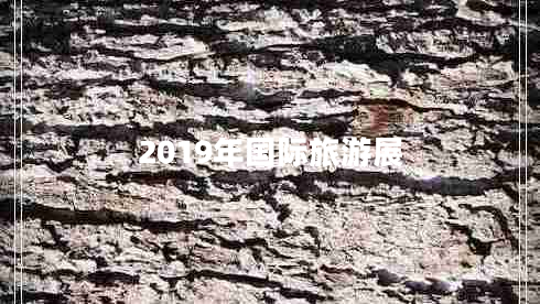 2019年國(guó)際旅游展