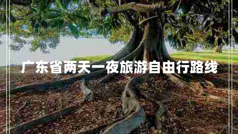 廣東省兩天一夜旅游自由行路線 廣東省兩天一夜旅游自由行路線