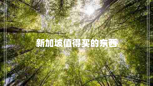 新加坡值得買(mǎi)的東西