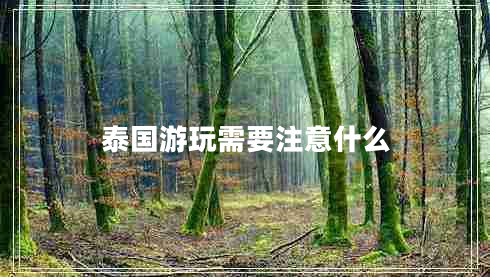 泰國(guó)游玩需要注意什么