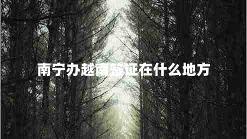 南寧辦越南簽證在什么地方