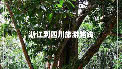 浙江到四川旅游路線