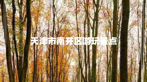 天津市南開區(qū)游玩景點(diǎn)