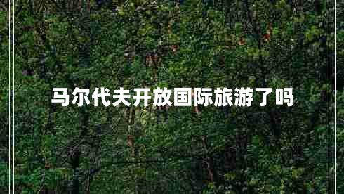 馬爾代夫開放國際旅游了嗎