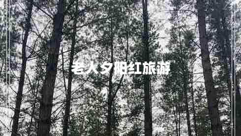 老人夕陽紅旅游