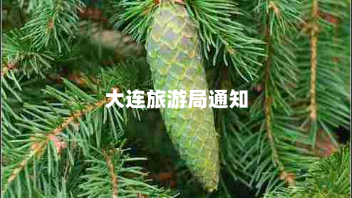 大連旅游局通知 大連旅游局通知