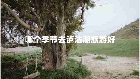 哪個季節(jié)去瀘沽湖旅游好