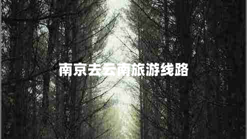南京去云南旅游線路