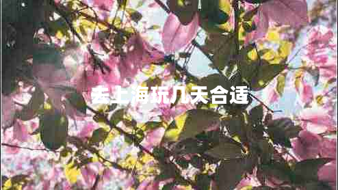 去上海玩幾天合適