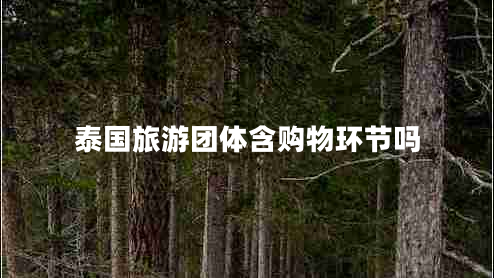 泰國旅游團體含購物環(huán)節(jié)嗎