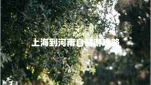 上海到河南自駕游攻略