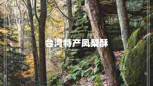 臺(tái)灣特產(chǎn)鳳梨酥 臺(tái)灣特產(chǎn)鳳梨酥