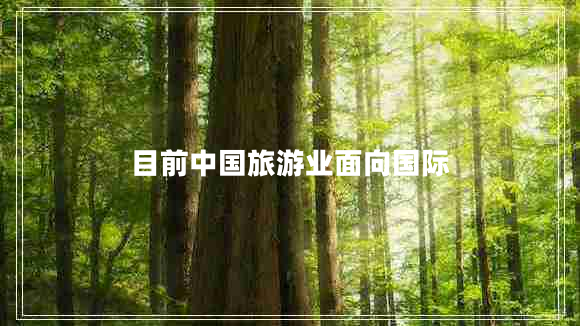 目前中國旅游業(yè)面向國際