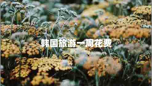 韓國旅游一周花費(fèi)