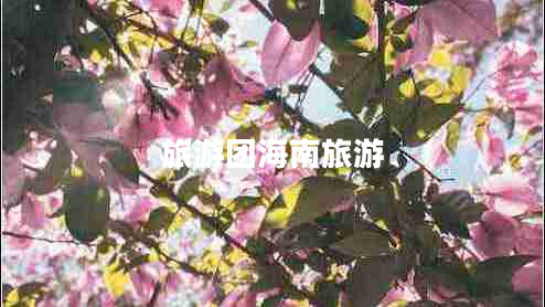 旅游團海南旅游