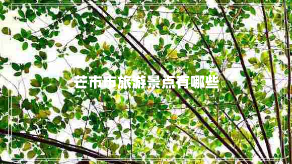 芒市市旅游景點(diǎn)有哪些