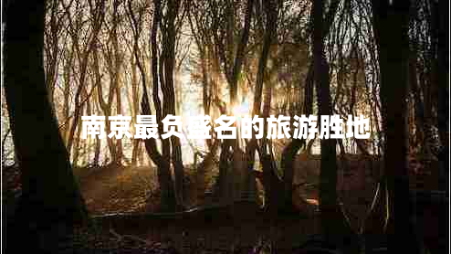 南京最負(fù)盛名的旅游勝地