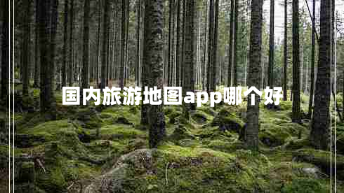 國內(nèi)旅游地圖app哪個好