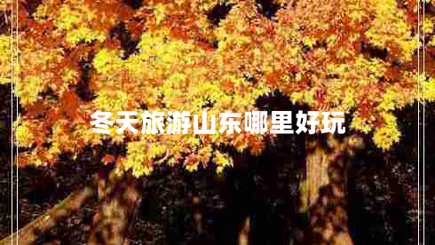冬天旅游山東哪里好玩 冬天旅游山東哪里好玩