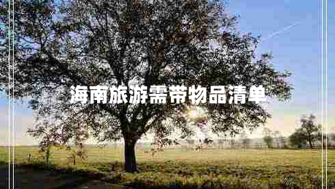 海南旅游需帶物品清單 海南旅游需帶物品清單