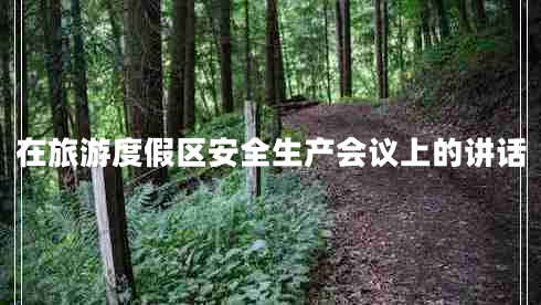 在旅游度假區(qū)安全生產會議上的講話