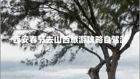 西安春節(jié)去山西旅游攻略自駕游