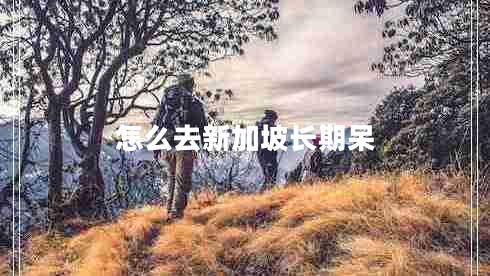 怎么去新加坡長期呆 怎么去新加坡長期呆