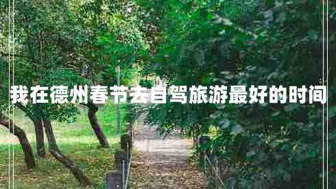 我在德州春節(jié)去自駕旅游最好的時(shí)間