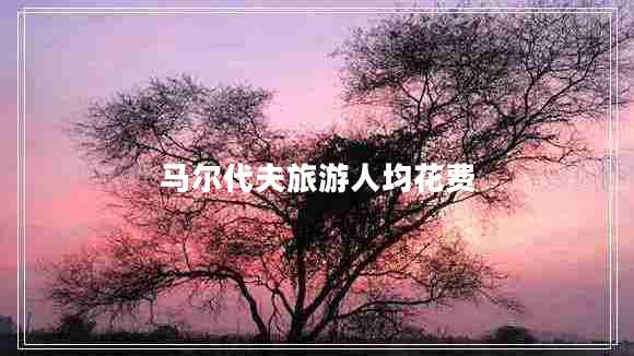 馬爾代夫旅游人均花費(fèi)