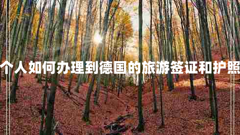 個人如何辦理到德國的旅游簽證和護(hù)照