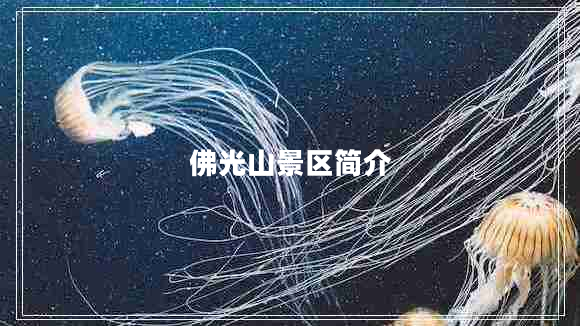 佛光山景區(qū)簡介 佛光山景區(qū)簡介