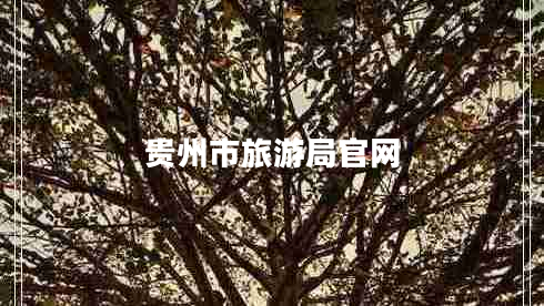 貴州市旅游局官網(wǎng) 貴州市旅游局官網(wǎng)