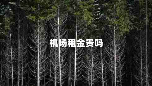 機(jī)場(chǎng)租金貴嗎