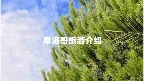 摩洛哥旅游介紹