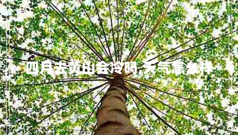 四月去黃山會冷嗎,天氣怎么樣 四月去黃山會冷嗎,天氣怎么樣