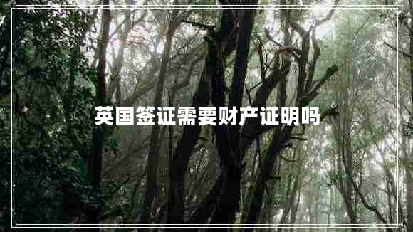 英國簽證需要財產證明嗎