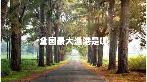 全國(guó)最大漁港是哪