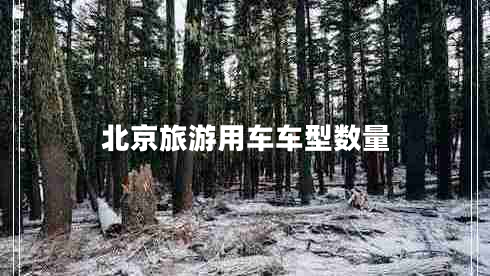 北京旅游用車車型數(shù)量
