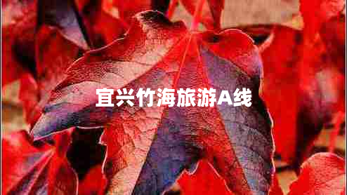 宜興竹海旅游A線